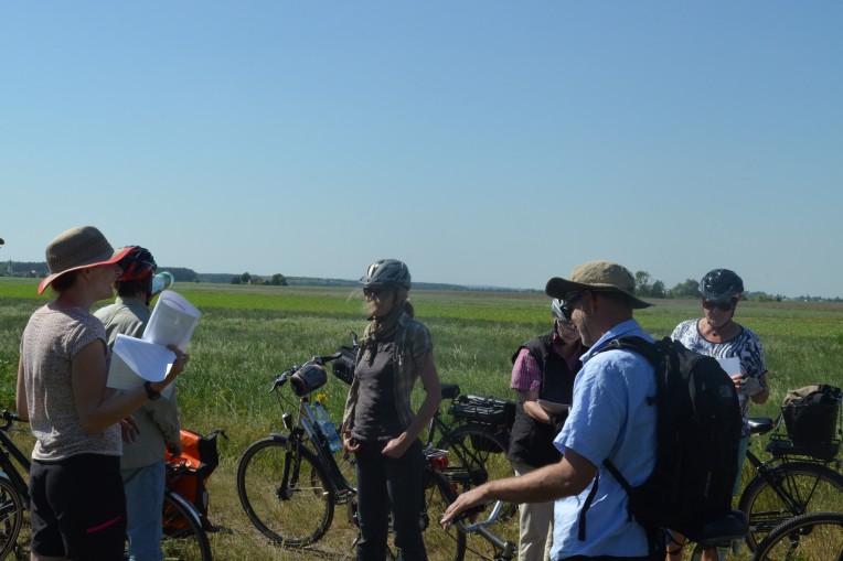 Zwischen Elberadweg und Gohrischheide. Radtour entlang der Zeitgeschichte