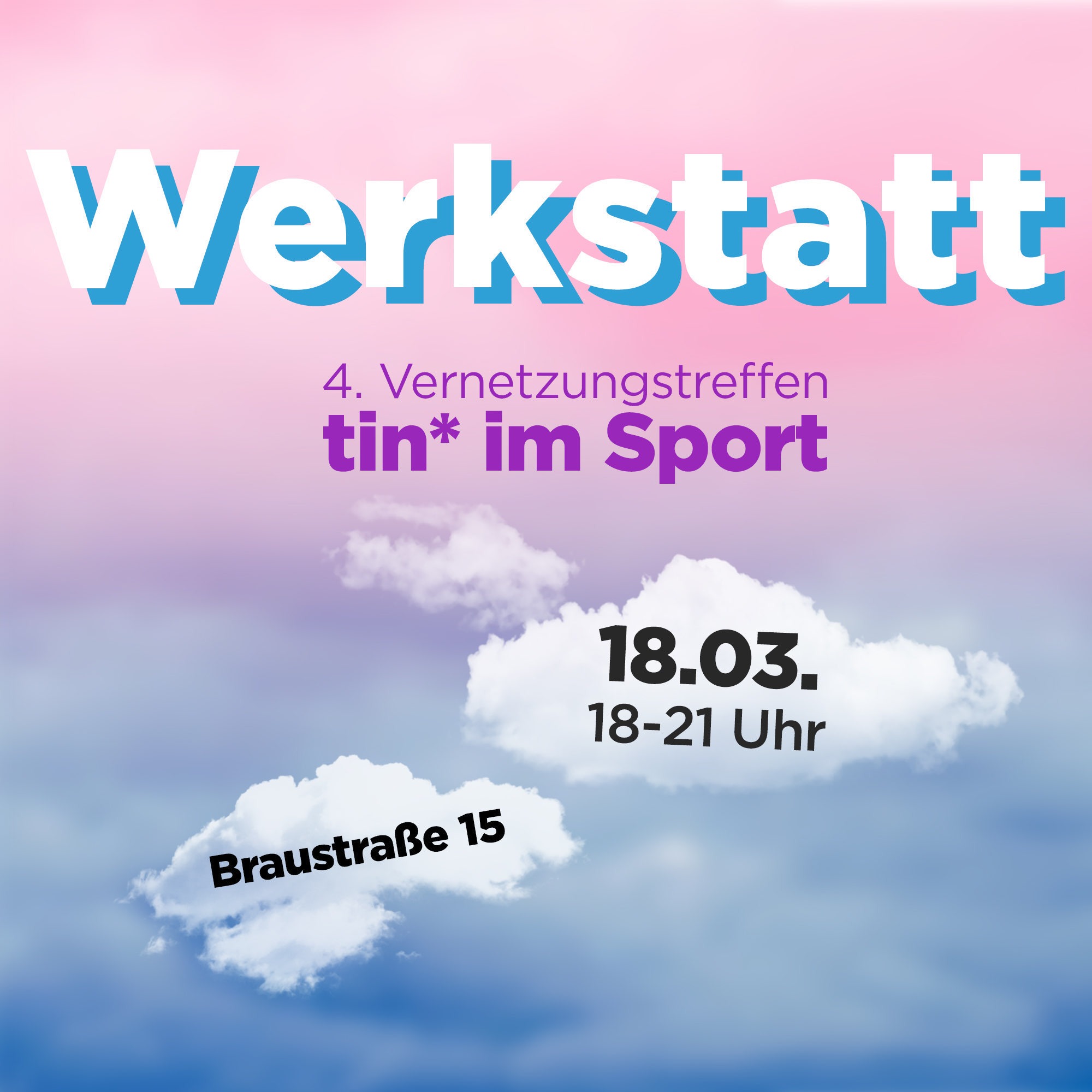 4. Vernetzungswerkstatt tin* (Personen) im Sport