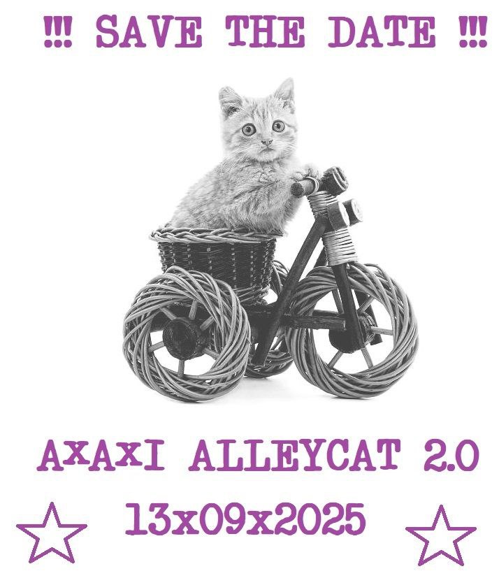 Axaxi Kiez-Ralleycat