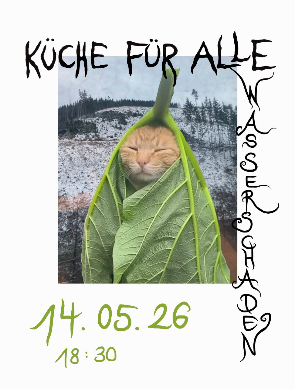 Küfa im Wasserschaden